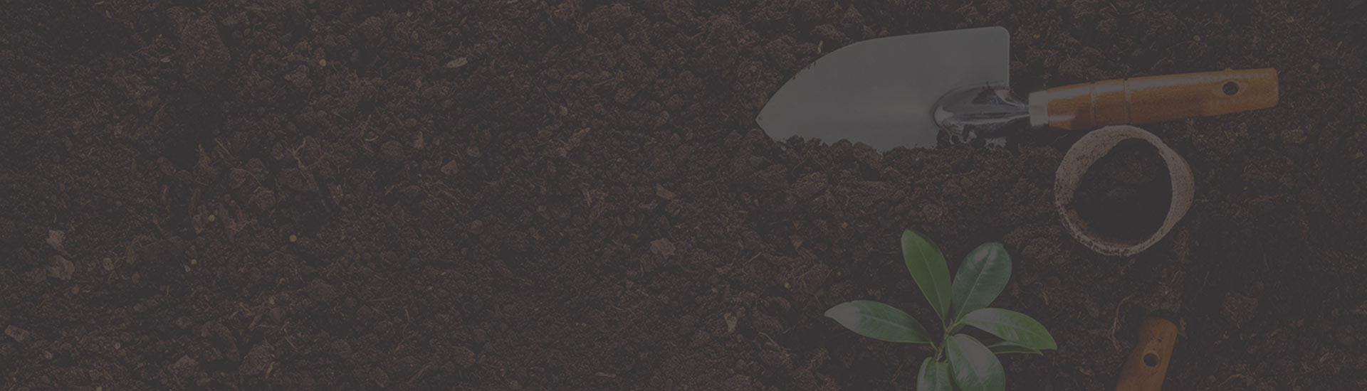 Green Life Peyzaj bahçe uygulaması