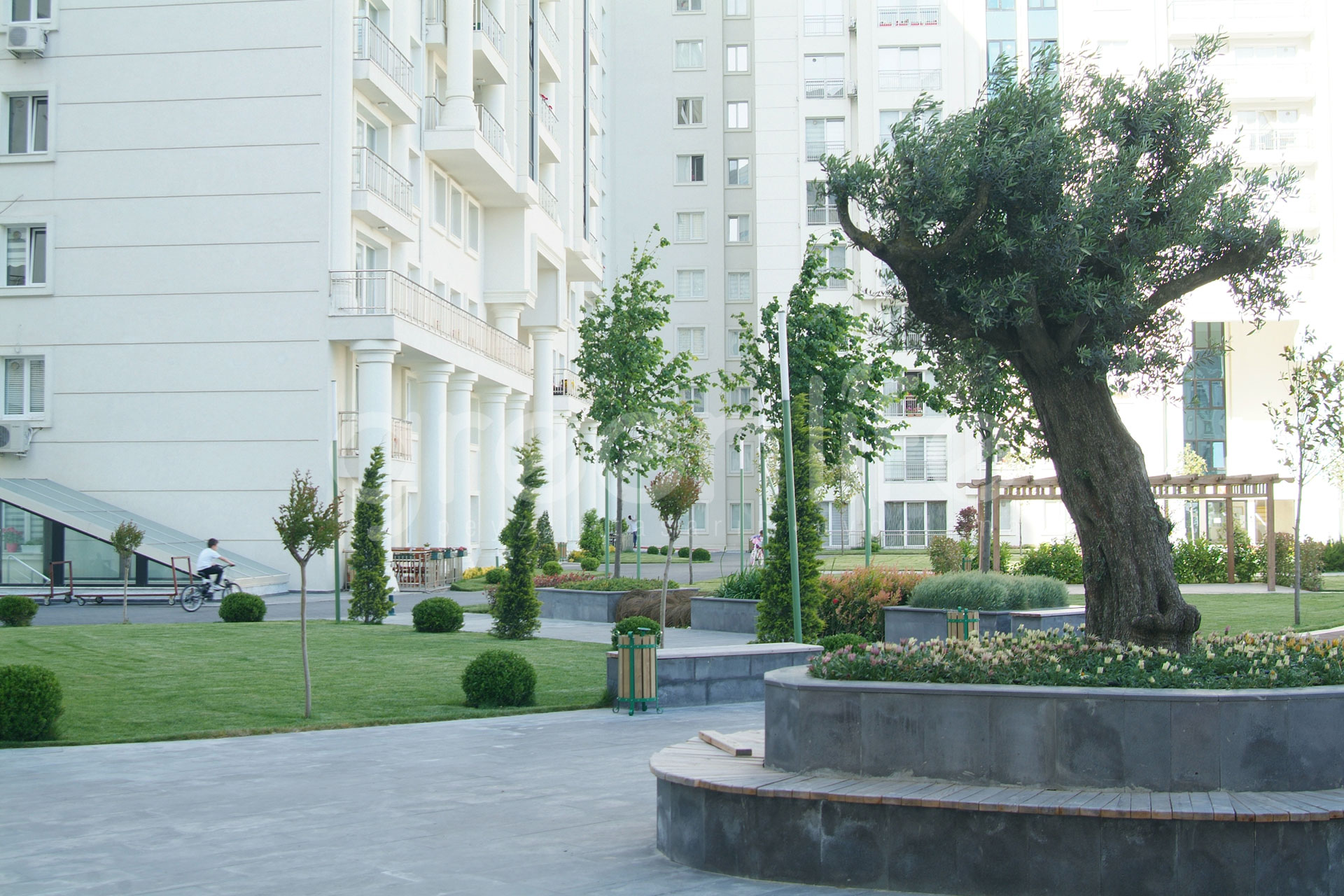 Taş döşeme ve peyzaj