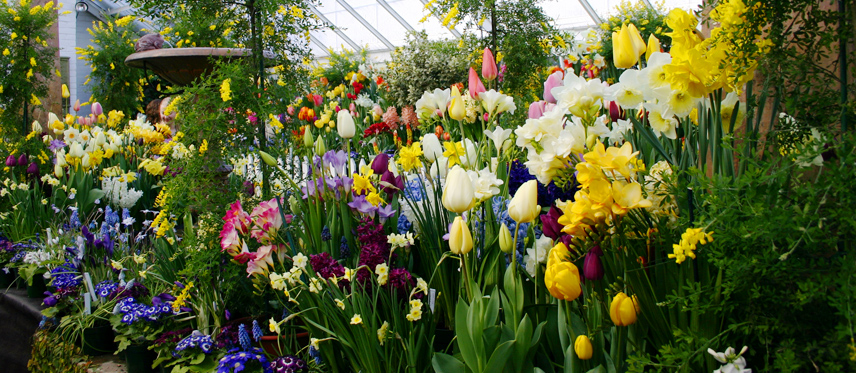 Bahçe market ve fidanlık
