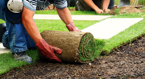 Green Life Peyzaj hizmetler